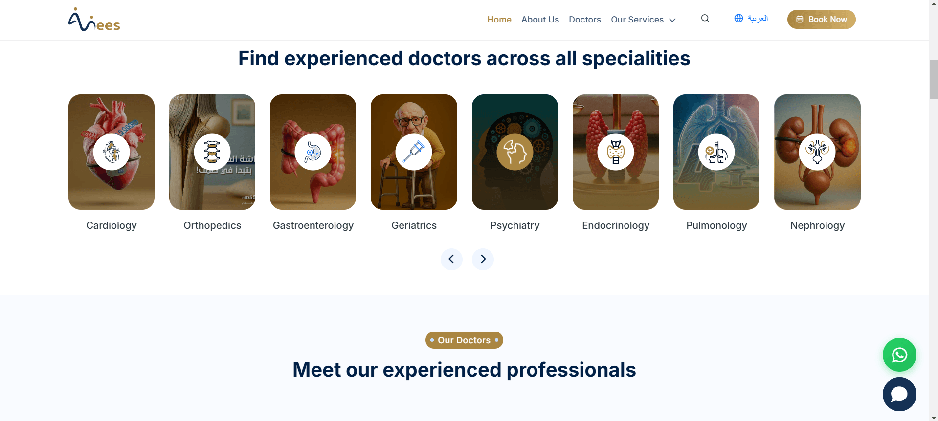 Anees healthcare provider dashboard