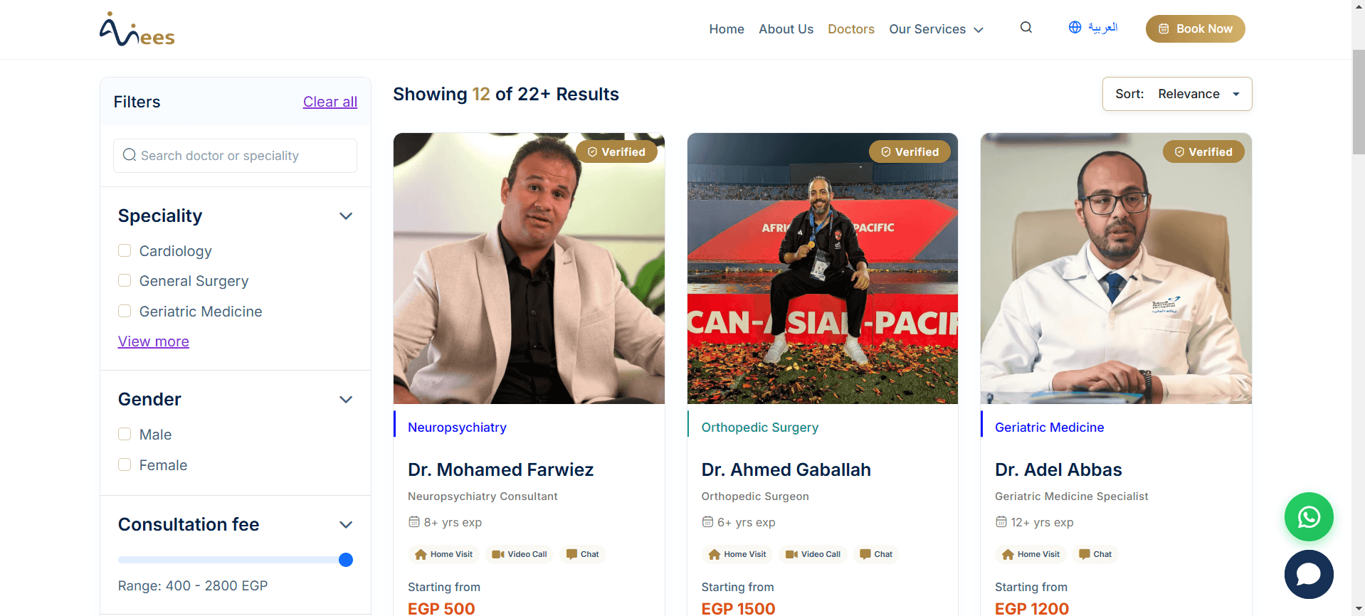 Anees telemedicine consultation interface